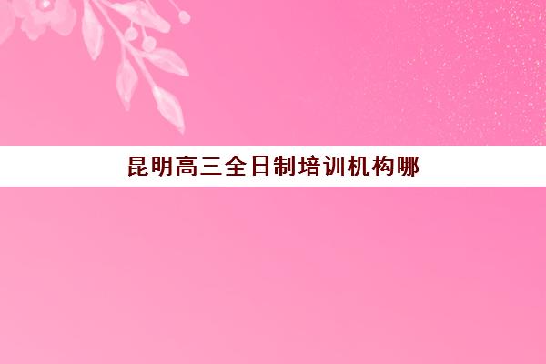 昆明高三全日制培训机构哪家强？2025年TOP5实力解析与择校指南