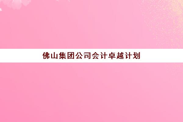 佛山集团公司会计卓越计划时间2025年公布了吗？最新政策解读、申请时间表与备战全指南