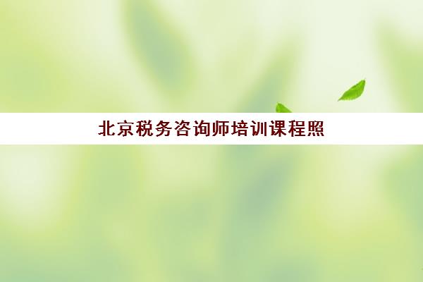 北京税务咨询师培训课程照片要求是什么样的？2023年最新官方标准、拍摄技巧与审核要点全解析