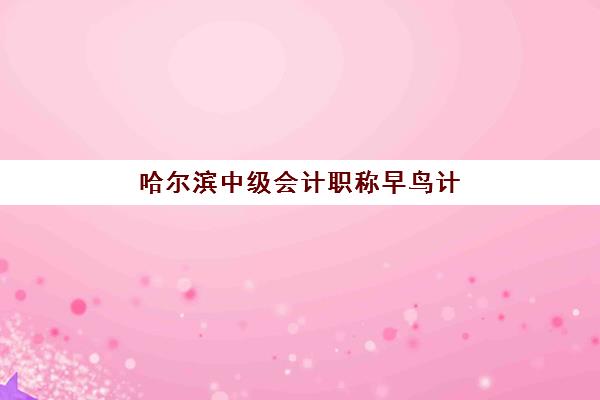 哈尔滨中级会计职称早鸟计划辅导班怎么选？2025年优质机构评测与报班指南