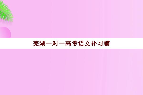 芜湖一对一高考语文补习辅导机构有哪些学校可选？2025年最新权威排名、各校特色优势与科学选择全指南