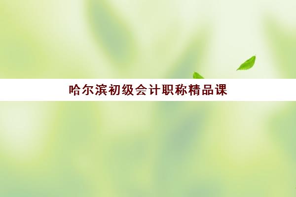 哈尔滨初级会计职称精品课程培训学校排名如何查询？2025年最新权威榜单揭晓、各校特色解析与科学选择指南