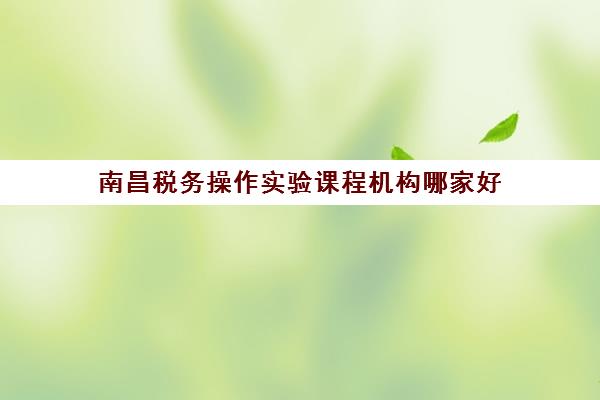 南昌税务操作实验课程机构哪家好(实力排名)如何查询？2025年权威榜单、择校指南与成功案例深度解析