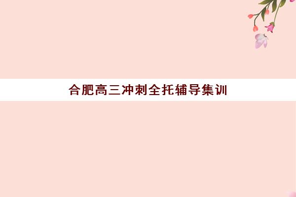 合肥高三冲刺全托辅导集训班怎么选？政务区家长实地考察推荐清单