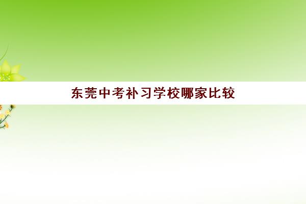 东莞中考补习学校哪家比较好？2025年考前冲刺辅导机构选择全指南