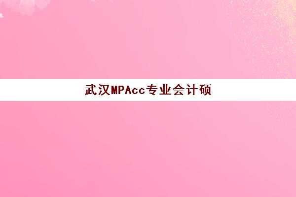 武汉MPAcc专业会计硕士全程课程时间2025考试时间表如何规划？关键时间节点与备考流程全解析