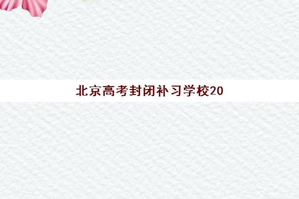 日语学习效果不佳？北京樱花日语培训学校的沉浸式教学法与个性化课程实测评测