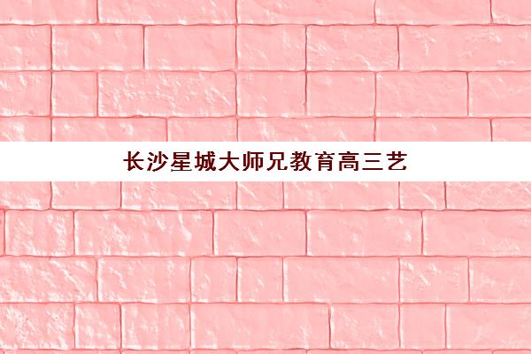 长沙星城大师兄教育高三艺考生文化课培训机构大概多少钱？2025年收费详情与高性价比报读指南