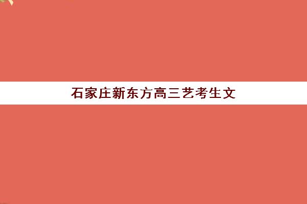石家庄新东方高三艺考生文化课补习学费详情，2025年最新班型费用与择校全攻略