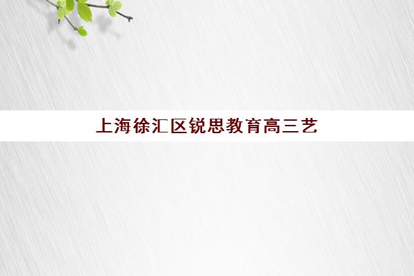 上海徐汇区锐思教育高三艺考生文化课培训机构学费多少钱？2025年收费标准全面解析与高性价比报读指南