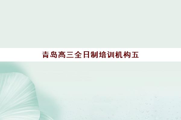 上海锐思高三艺考文化课补习学校学费价格表，不同班型费用解析与高性价比报读指南