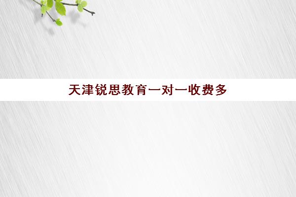 天津锐思教育一对一收费多少钱？2025年最新价格表、选择策略与性价比深度解析