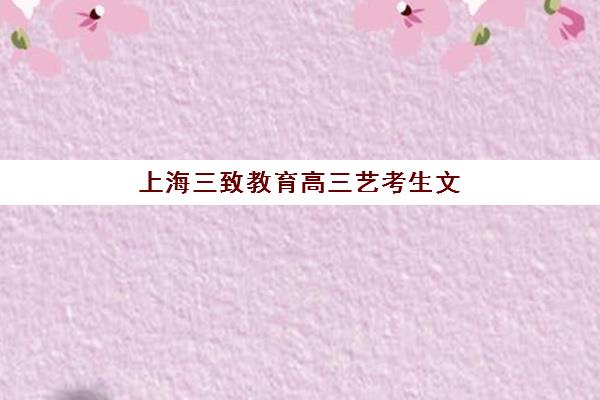 上海三致教育高三艺考生文化培训班收费标准价格一览：2025年各班型费用解析与高性价比择班指南