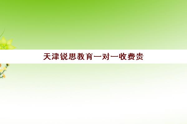 天津锐思教育一对一收费贵不贵？2025年内部价目解读与高性价比报读指南