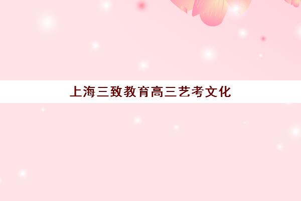 上海三致教育高三艺考文化课补习学校费用一般多少钱，2025年收费标准全面解读与高性价比报班指南