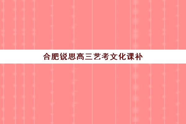 合肥锐思高三艺考文化课补习学校费用解析:2025年集训班与一对一辅导价格全指南 合肥锐思高三艺考文化课补习学校费用解析:2025年集训班与一对一辅导价格全指南