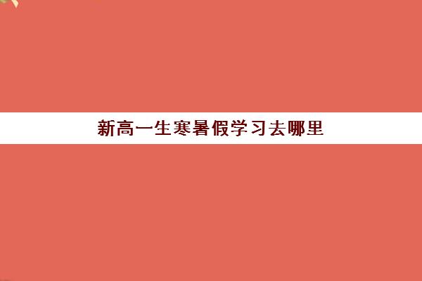 新高一生寒暑假学习去哪里？天津学大教育2025年新高一暑假班课程设置、师资配置与报名指南全解析