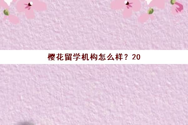 樱花留学机构怎么样？2025年一站式服务全解析，附服务流程与选择指南