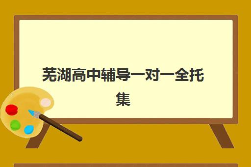 芜湖高中辅导一对一全托集训营哪家口碑好一点？2025年真实学员评价、选择标准与避坑指南全解析