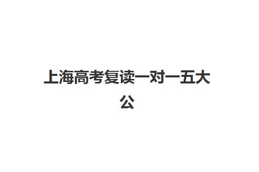 上海高考复读一对一五大公办机构运营分析如何解读？2025年最新数据、择校策略与成功案例深度解析