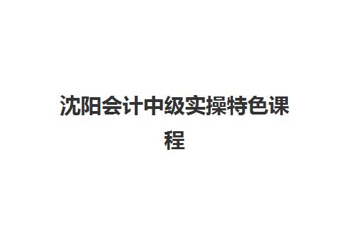 沈阳会计中级实操特色课程机构排行榜前十名如何选择?2025年最新榜单、课程特色与择校指南全解析 沈阳会计中级实操特色课程机构排行榜前十名如何选择?2025年最新榜单、课程特色与择校指南全解析