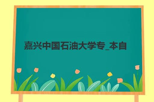嘉兴中国石油大学专_本自考课程集中训练营在哪个学校?2025年最新地址查询、择校技巧与成功案例深度解析 嘉兴中国石油大学专_本自考课程集中训练营在哪个学校?2025年最新地址查询、择校技巧与成功案例深度解析
