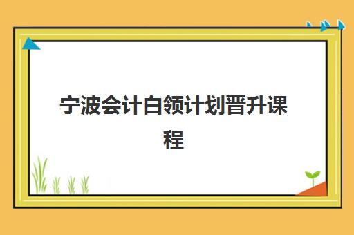 宁波会计白领计划晋升课程高性价比公办机构TOP5如何选择？2025年权威榜单、课程对比与择校全指南