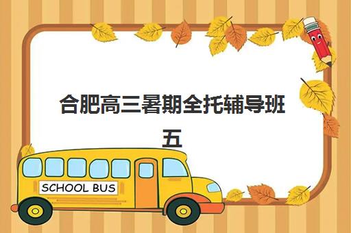 合肥高三暑期全托辅导班五大机构服务能力如何科学分析？2025年最新评估体系、对比解读与择校指南
