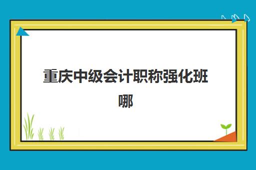 重庆中级会计职称强化班哪个好?2025年五大机构教学实力、课程特色与性价比全方对比指南 重庆中级会计职称强化班哪个好?2025年五大机构教学实力、课程特色与性价比全方对比指南