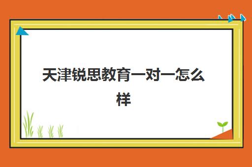 天津锐思教育一对一怎么样？收费标准、师资实力与提分效果全解析