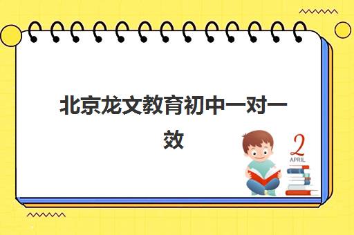 北京龙文教育初中一对一效果如何？2025年课程特色与择校指南全解析