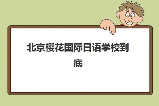 北京樱花国际日语学校到底怎么样？师资力量、课程体系与学习效果全方位深度评估与选择指南