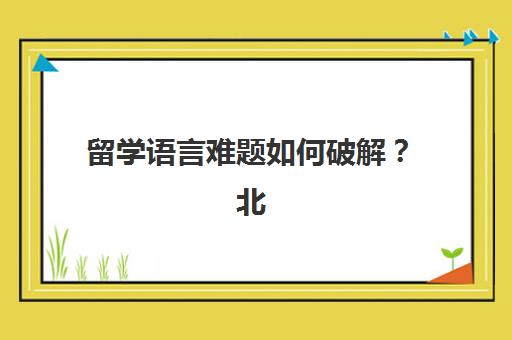 留学语言难题如何破解？北京樱花日语学校多维教学法与一站式留学服务全解析