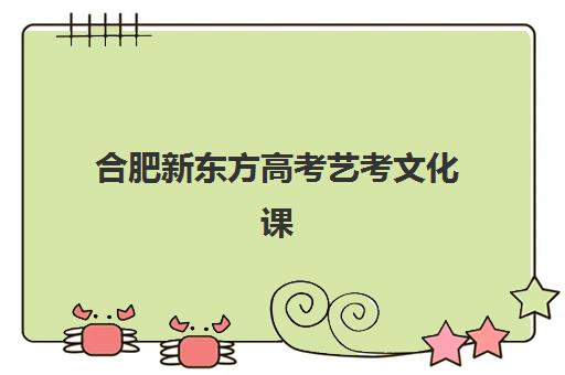 合肥新东方高考艺考文化课培训机构费用一般多少钱？2025年收费标准全解析与高性价比报读指南