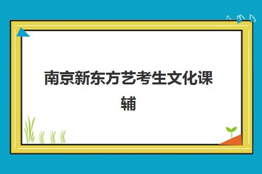 南京新东方艺考生文化课辅导费用解析：2025年收费标准详情、班型对比与性价比择校全指南