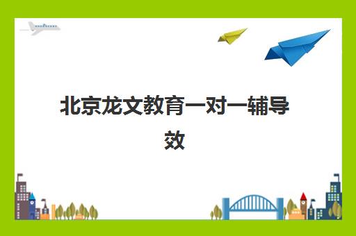 北京龙文教育一对一辅导效果如何？实测揭秘其个性化教学模式与提分关键