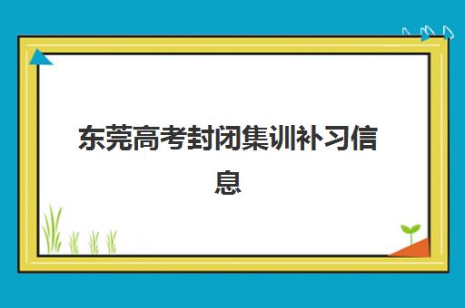 秦学伊顿教育高三艺考生文化培训班学费价格表，2025年收费明细与高性价比择班全攻略