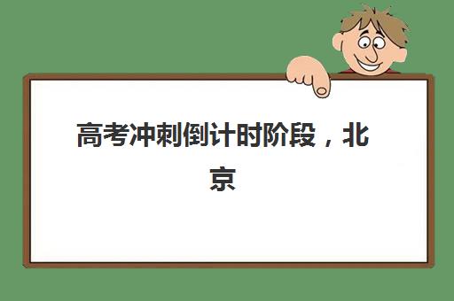 高考冲刺倒计时阶段，北京龙文教育一对一全程护航效果如何？2025年课程优势、选择方法与*分策略全解析