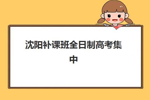 上海徐汇区锐思教育艺考生文化课辅导补习机构学费多少钱？2025年收费详情全面解析与高性价比报读指南