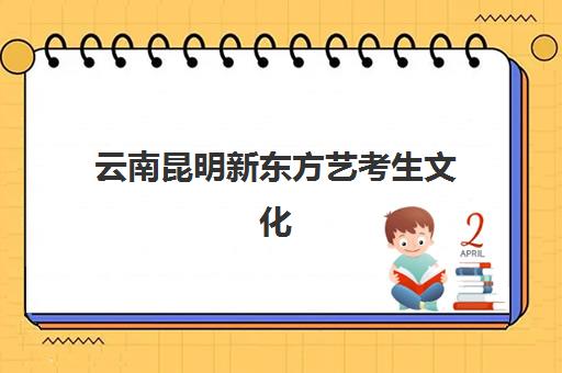 上海徐汇区锐思教育艺考生文化课辅导补习机构大概多少钱？2025年收费标准详解与高性价比报读指南