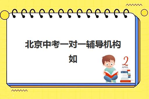 北京中考一对一辅导机构如何选择？2025年龙文教育收费明细与择校指南全解析