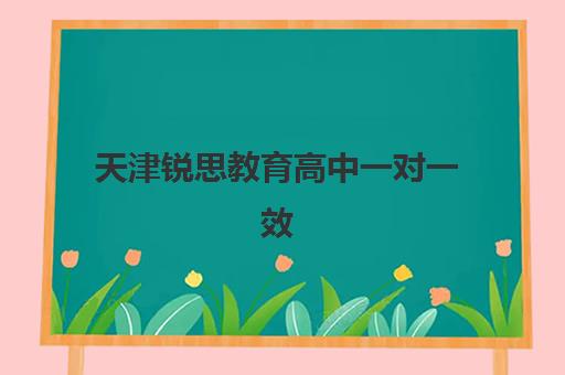 天津锐思教育高中一对一效果如何？2025年全面解析个性化教学如何助力高考冲刺