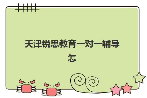 天津锐思教育一对一辅导怎么样？攻克学生薄弱项的有效方法与报读指南全解析